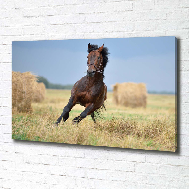 Horse In Gallop - Wrapped Canvas Print