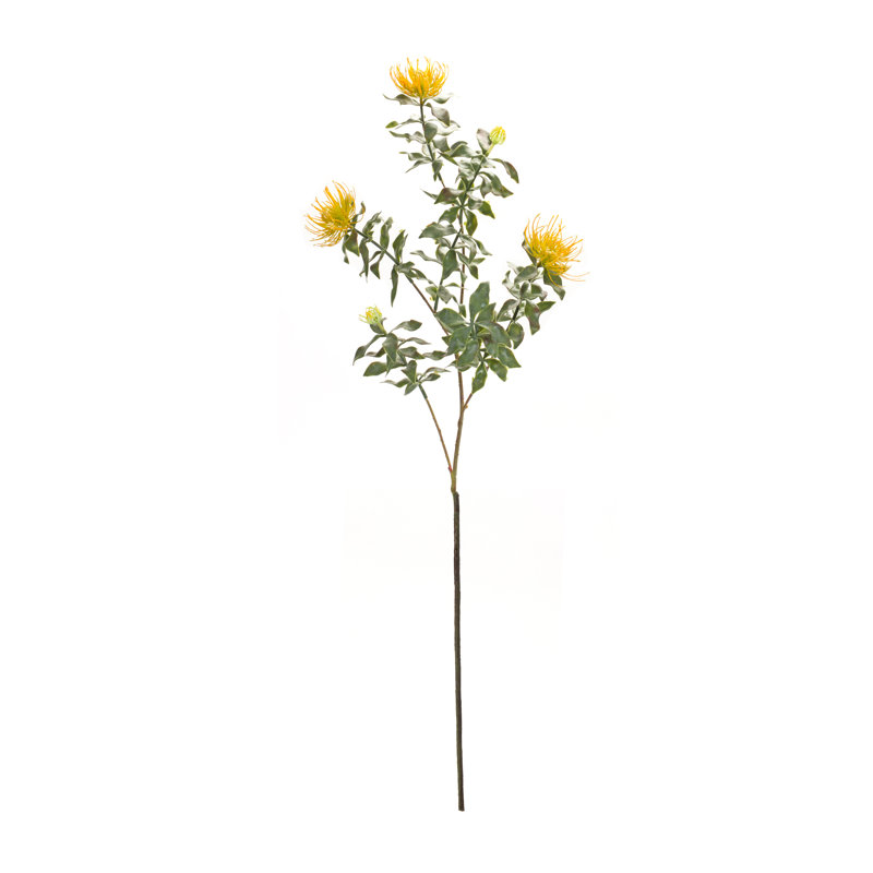 Protea Arrangement, Yellow
