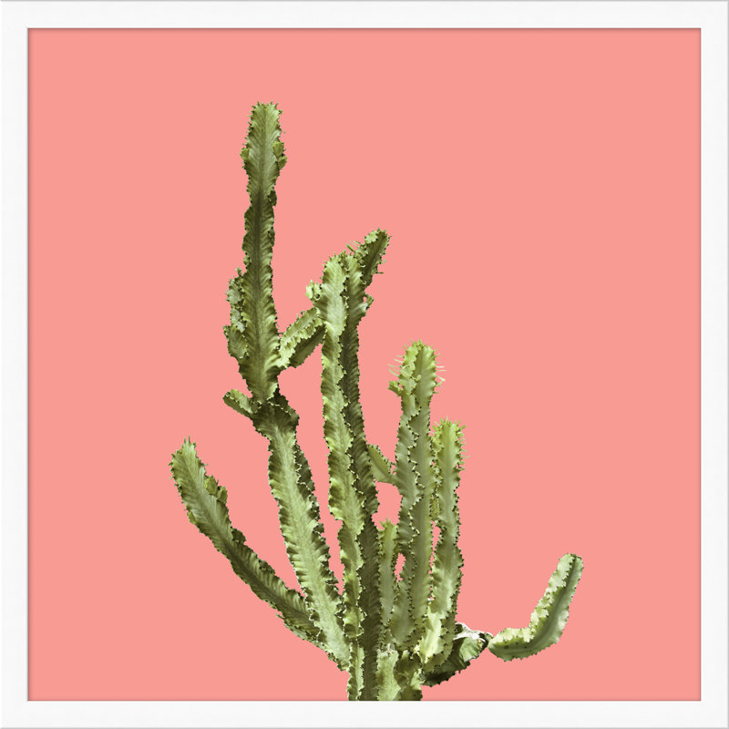 «Sherbet Cactus 2» par Christopher Kennedy - cadre photo, impression sur papier