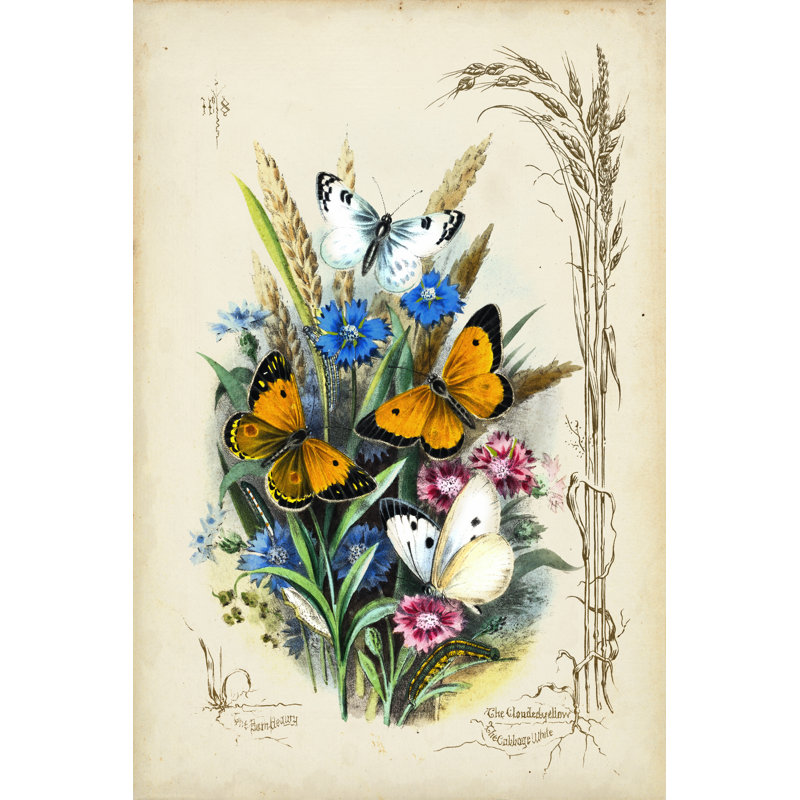 Victorian Butterfly Garden I - Wrapped Canvas Print, 122cm H x 81cm W x 3.8cm D