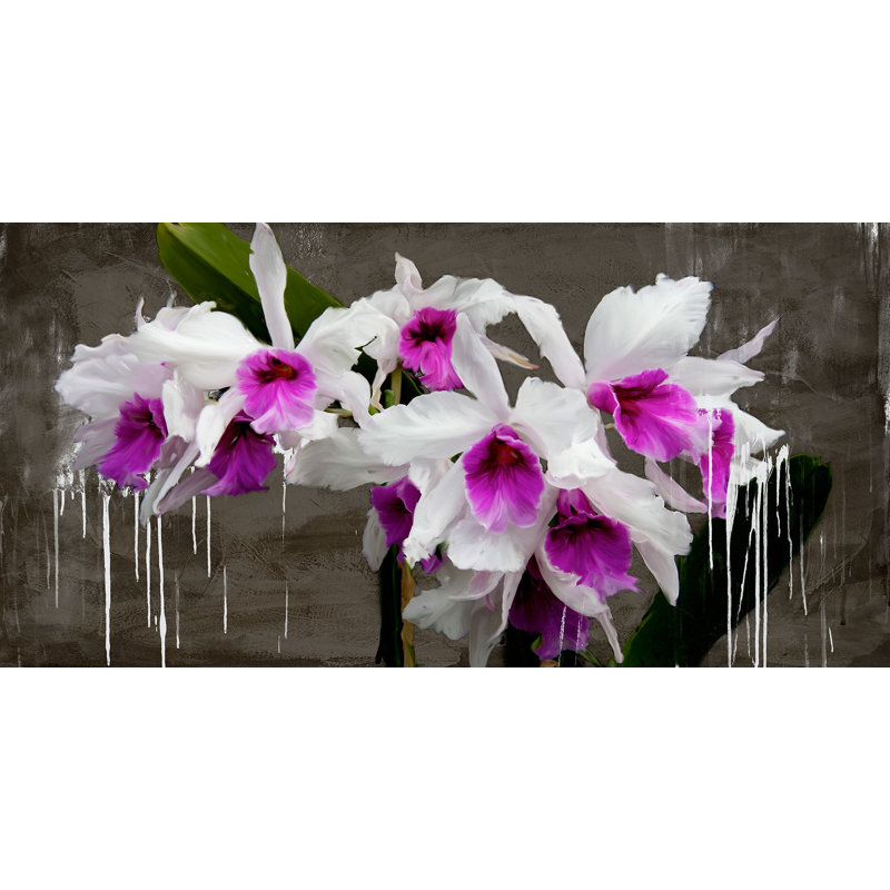 Orchid Blackboard 1 Piece Wrapped Canvas Painting, 50cm H x 100cm W x 4cm D