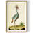 " Heron Portrait I "-847146878-847145083