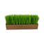 Herbe artificielle 5 po en pot