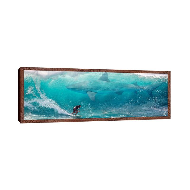Shark Surfer by David Loblaw - Panoramic Print on Canvas, 30.48cm H x 91.44cm W x 3.81cm D, Classic Brown Wood Framed