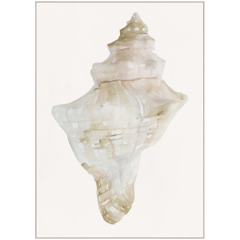Sea Shell 2 Print, 61" H x 44" W, White Floater Framed