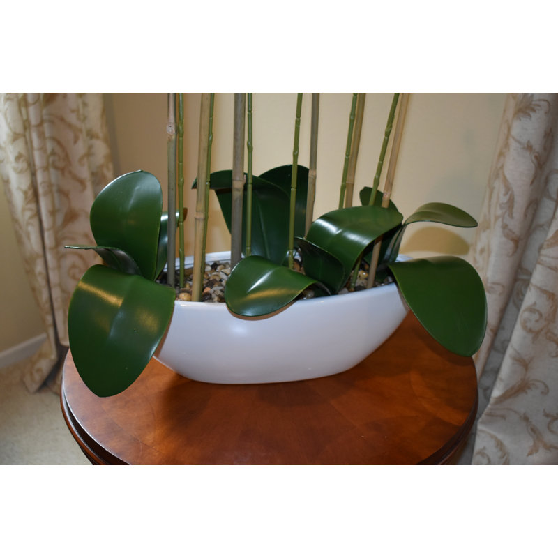 Orchidée phalaenopsis 32 po avec pot ovale blanc Reah Touch