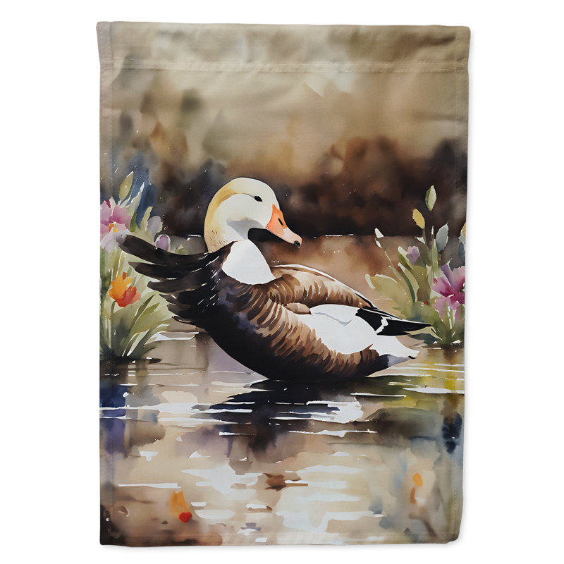 Drapeau commun du jardin du canard Eider_DAC3203