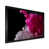 Black Picture Framed 