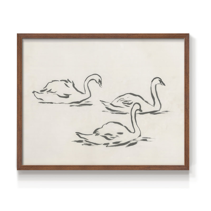 Swan Sketch II -Framed Print - Restickable, Walnut, 11" H x 14" W