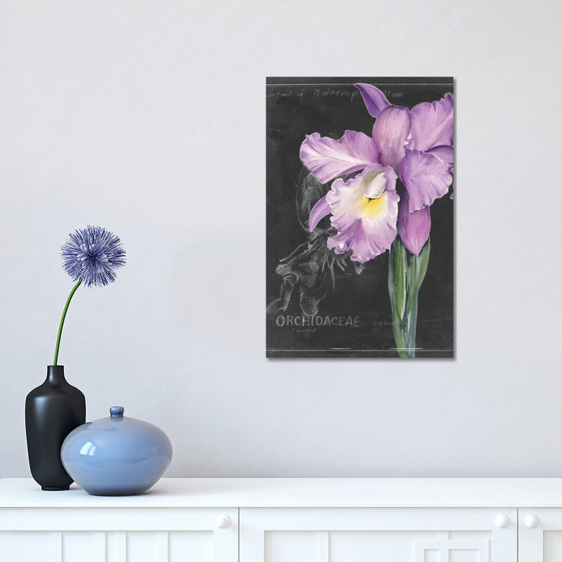 Chalkboard Flower II by Jennifer Paxton Parker - Wrapped Canvas Painting, 30.48 cm H x 45.72 cm W