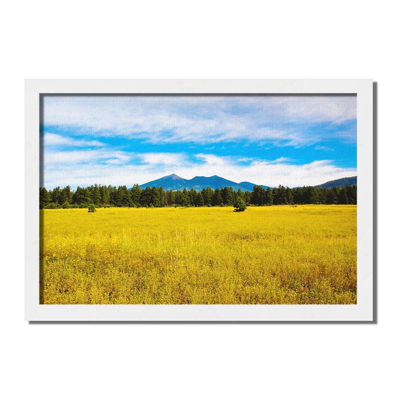 San Francisco Peaks par Kelly Wade. Impression sur papier - Montée et encadrée avec de l'acrylique transparent, image