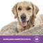 Silentnight Calming Plush Donut Pet Bed-93676160-55843482