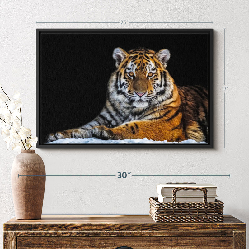 Animal «Snapshot Wall Art», H 17 po x l 25 po