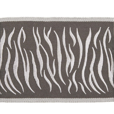Tissu osseux hannah