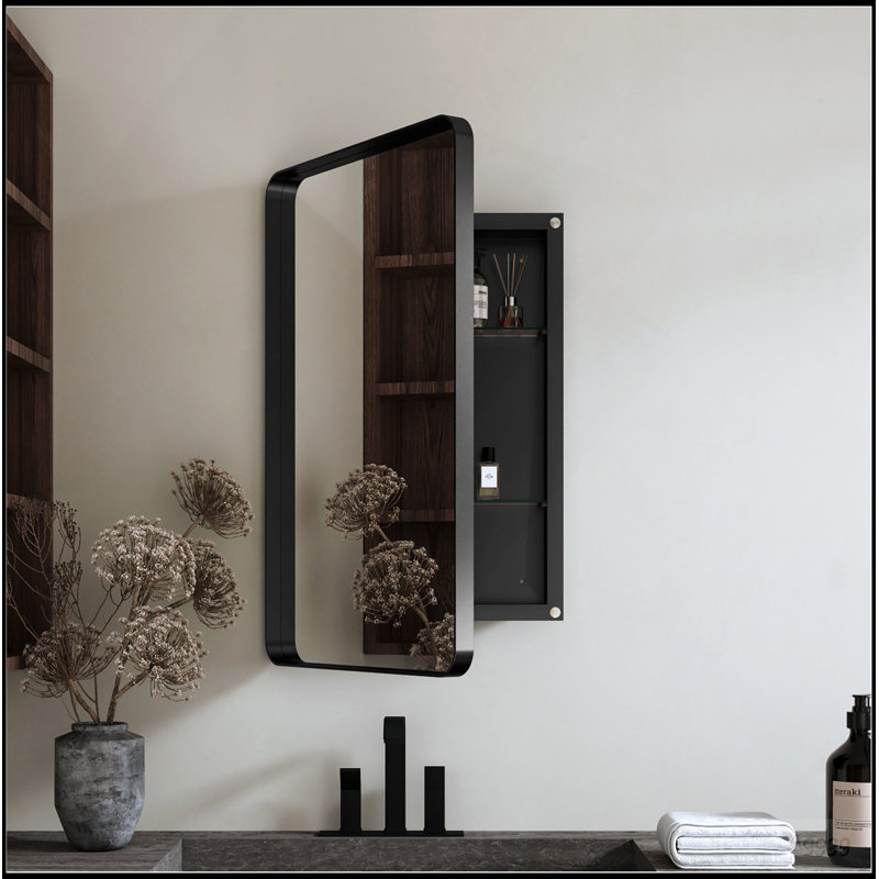 Armoire à pharmacie 20 po x 30 po à cadre en métal noir avec miroir et tablettes réglables