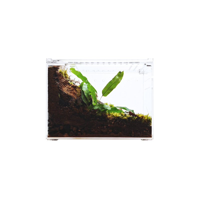 Acrylic Reptile Terrarium, 1 Gallon - 8"H x 6"W x 6"D