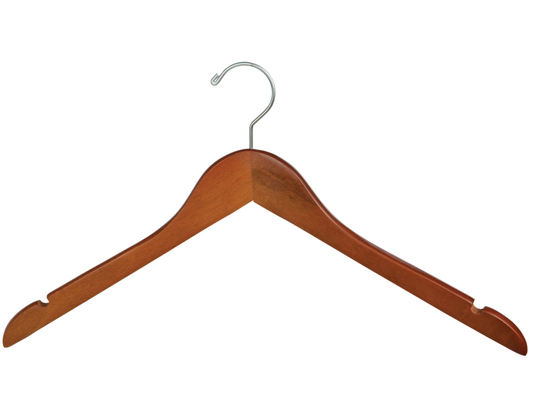 Aurora Wishbone Wood Non-Slip Hanger for Dress/Shirt/Sweater (Set of 100) Rebrilliant