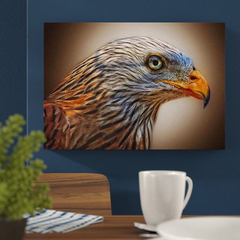 Red Kite Bird Photographic - Wrapped Canvas, 50cm H x 76cm W