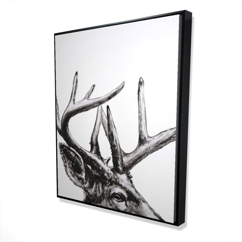 «Roe Deer Plume» sur toile