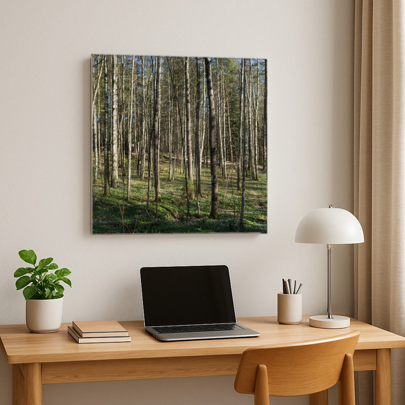 Forêt de bouleaux (1903) — Tableau mural carré en métal, H 16 po x l 16 po