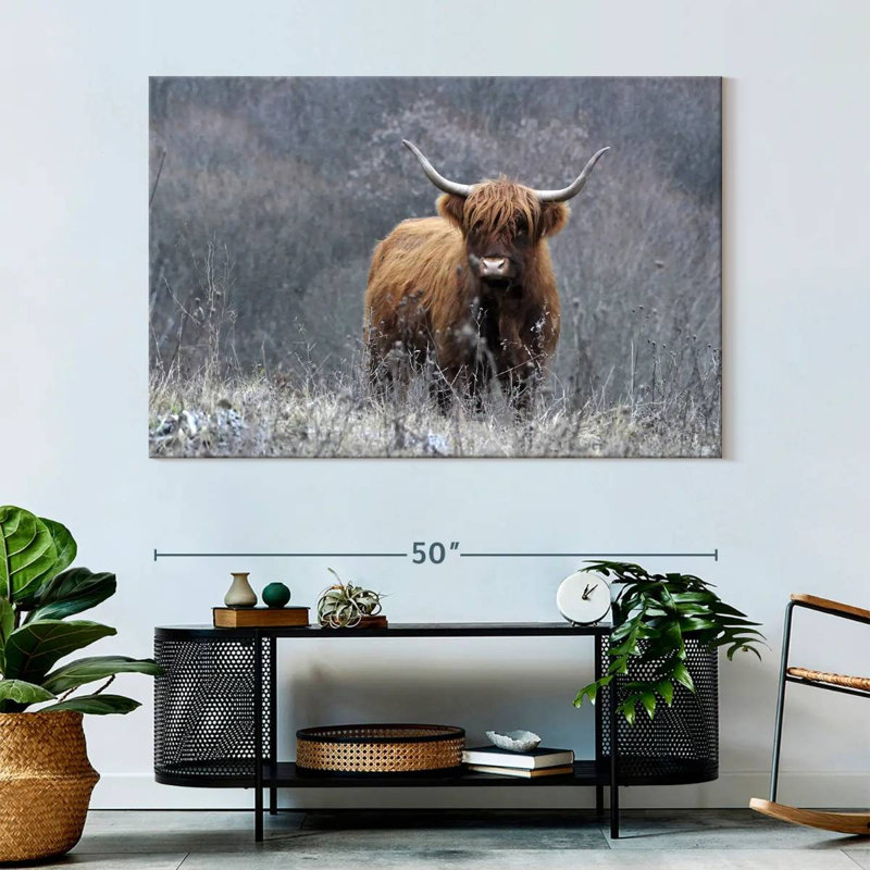 Vache Highland Brampt, H 34 po x l 51 po