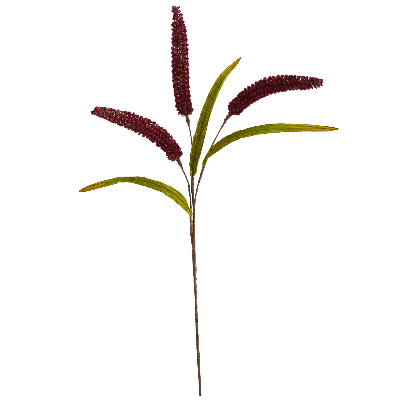 Sorghum Floral Stems, Burgundy