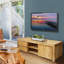 Ankney Solid Wood TV Stand