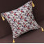Southwestern Pillows Tassels Chenille Reversible Throw Pillow