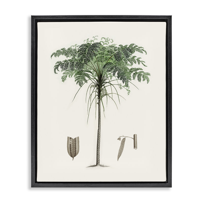 Cadre flottant rétro avec feuilles de palmier, design par Val Rhodes, H 21 po x l 17 po, Cadre flottant noir de jais