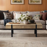 Regalado 2-Drawer Coffee Table