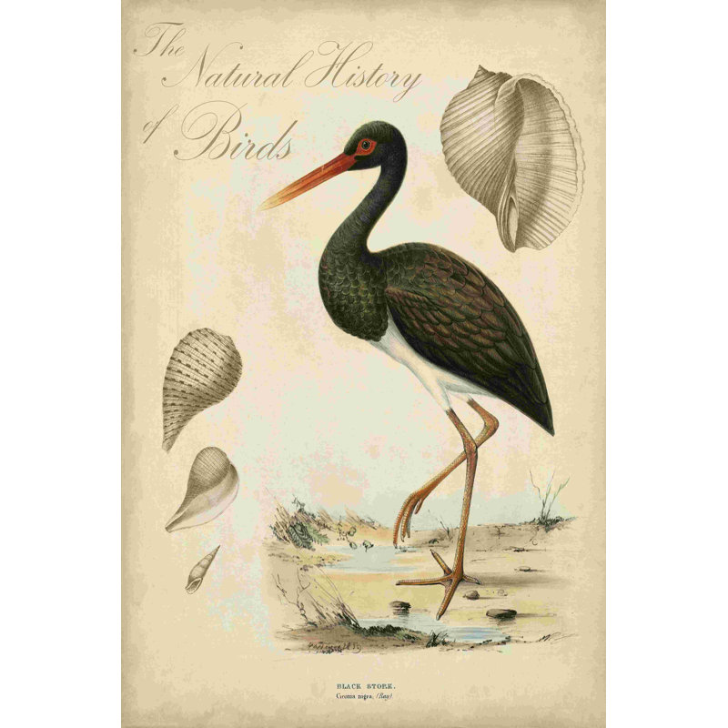 Heron Anthology I, H 18 po x l 12 po