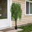 195cm Plant
