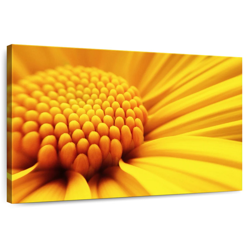 Harnek - fleur jaune ensoleillée, H 32 po x l 48 po