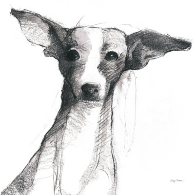 Thor Sitting Pretty by Avery Tillmon - Wrapped Canvas Print