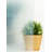 Graphics Non-Wall Damaging Window Decal