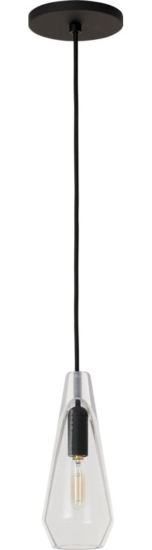 Lustra Small Accent Pendant, Nightshade Black, LED Lamp