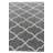 Odenton Dark Gray Rug