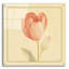 «Tulip 3» par Danhui Nai, art mural en verre acrylique-406716121