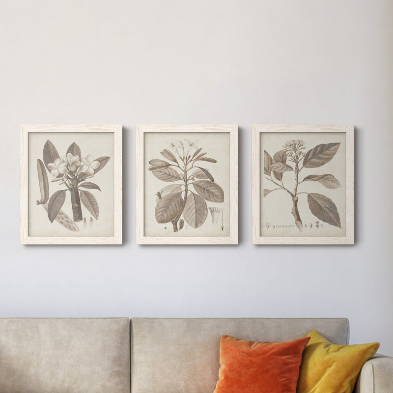 Ensemble de 3 cadres photo sur toile Midnight Tulip V, Blanc, H 20 po x l 51 po x P 1,5 po