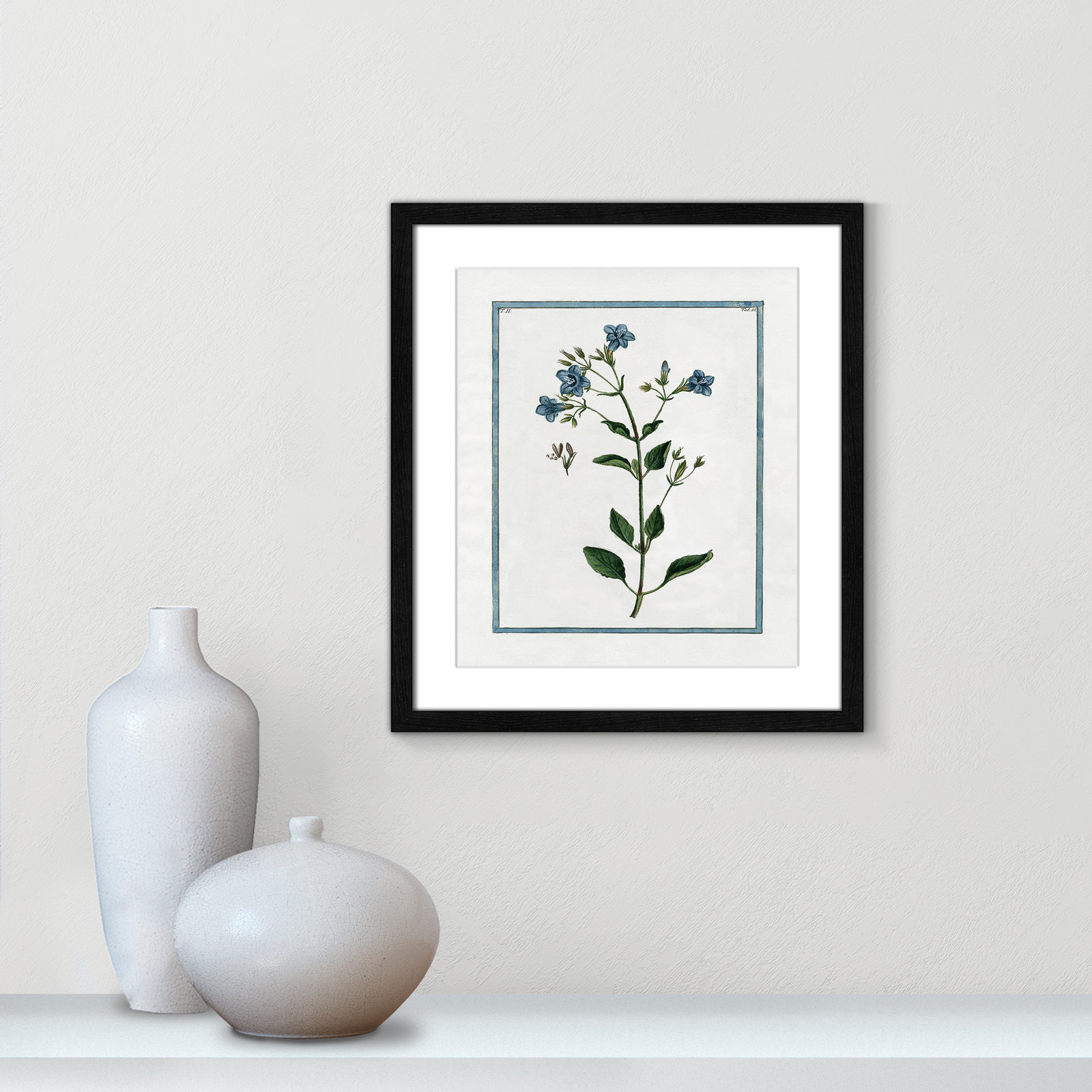Shabby Elegance Botanical II - Framed Art, Black Framed, 13" W x 15" H