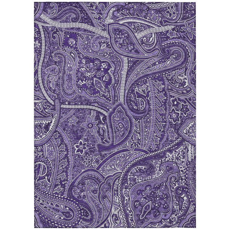 Paisley Indoor / Outdoor Rug