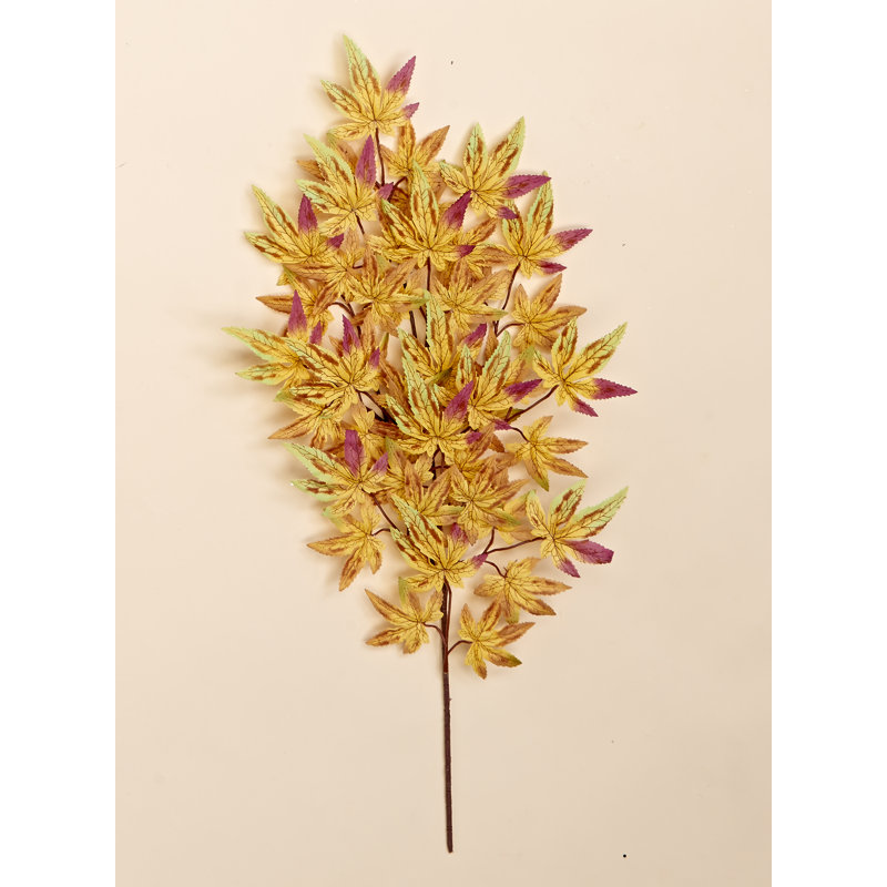 Jets de feuilles d'érable japonais, Jaune
