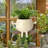 Ellerey Hanging Planter