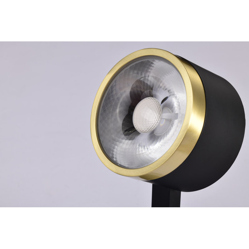 Matte Black and Brushed Brass LED Adjustable Track Head