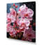 Orchidées roses, orchidées roses, fusion néon II sur toile-97053283-97053284