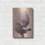 «Poodle» par Thomas Fluharty-1981696023