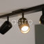 Koto 1 - Light Spotlight-276409711-317747342-317747343