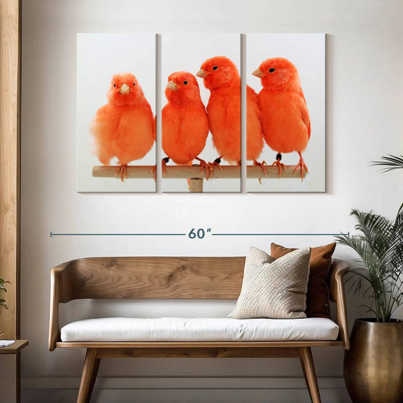Canari rouge Brampt, H 32 po x l 50 po