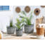 Nittany Plant Pot