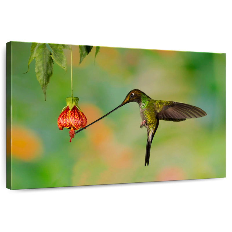 Hummingbird Eating Nectar, 8" H x 12" W